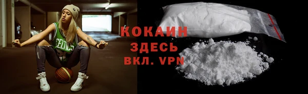 ешки Лагань