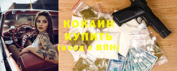 твердый Ладушкин