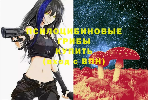 скорость Липки