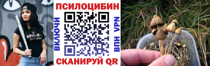 Псилоцибиновые грибы Magic Shrooms  мега рабочий сайт  Михайлов 